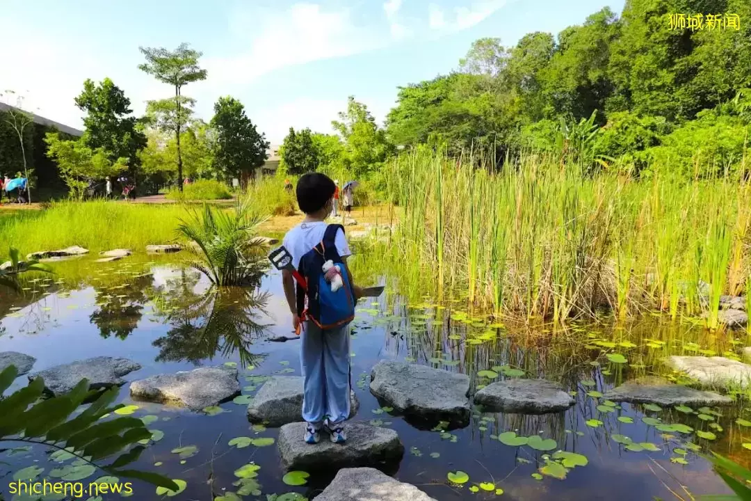 4天小長假!請來新加坡最美的濕地,超500種熱帶動植物免費看