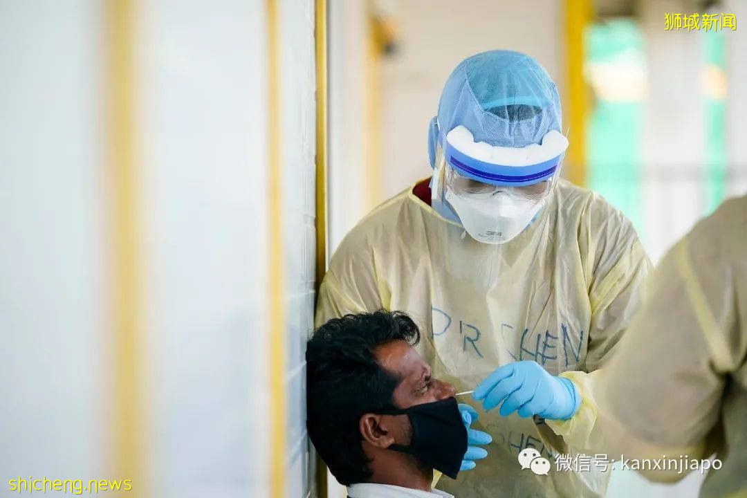 “新加坡病例飙升基于这是一个以法治国的国家”