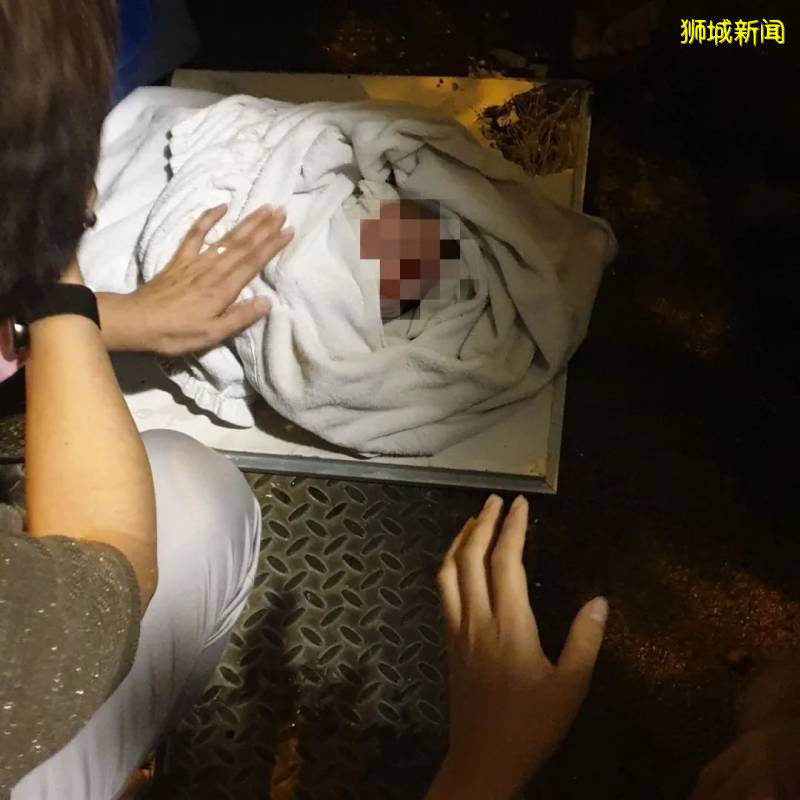 痛心！新加坡刚出生男婴，竟然被连胎盘丢弃在垃圾桶