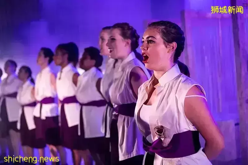 國內國際學校停辦轉型！？國外學習更穩定！新加坡國際學校—留學跳板，孩子未來的起點