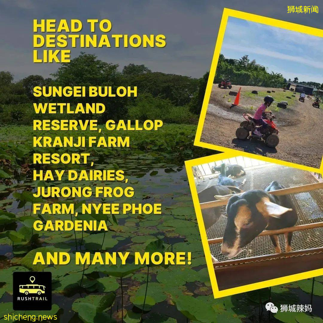 $1起!全新2條巴士線,去夏氏牧場、青蛙農場、東海岸再也不用打車啦