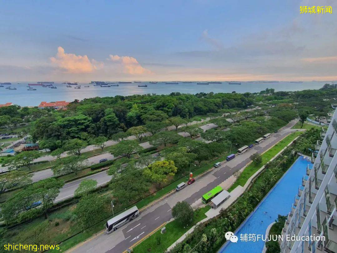 “解密”明星的孩子赴新加坡讀書的原因