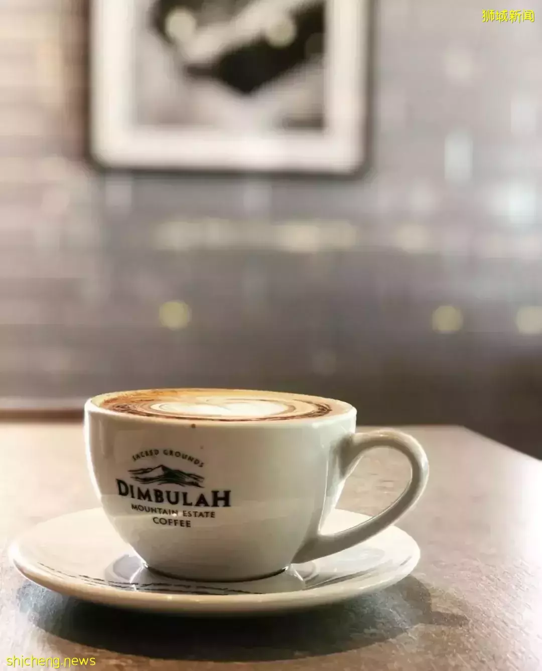 狮城の澳洲风情咖啡馆有哪些？一起来开启澳式慵懒午后吧