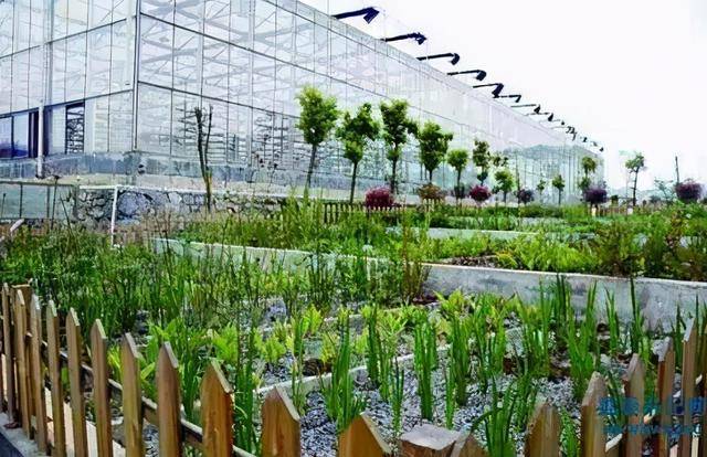 570萬人口的新加坡到底有多富裕發達