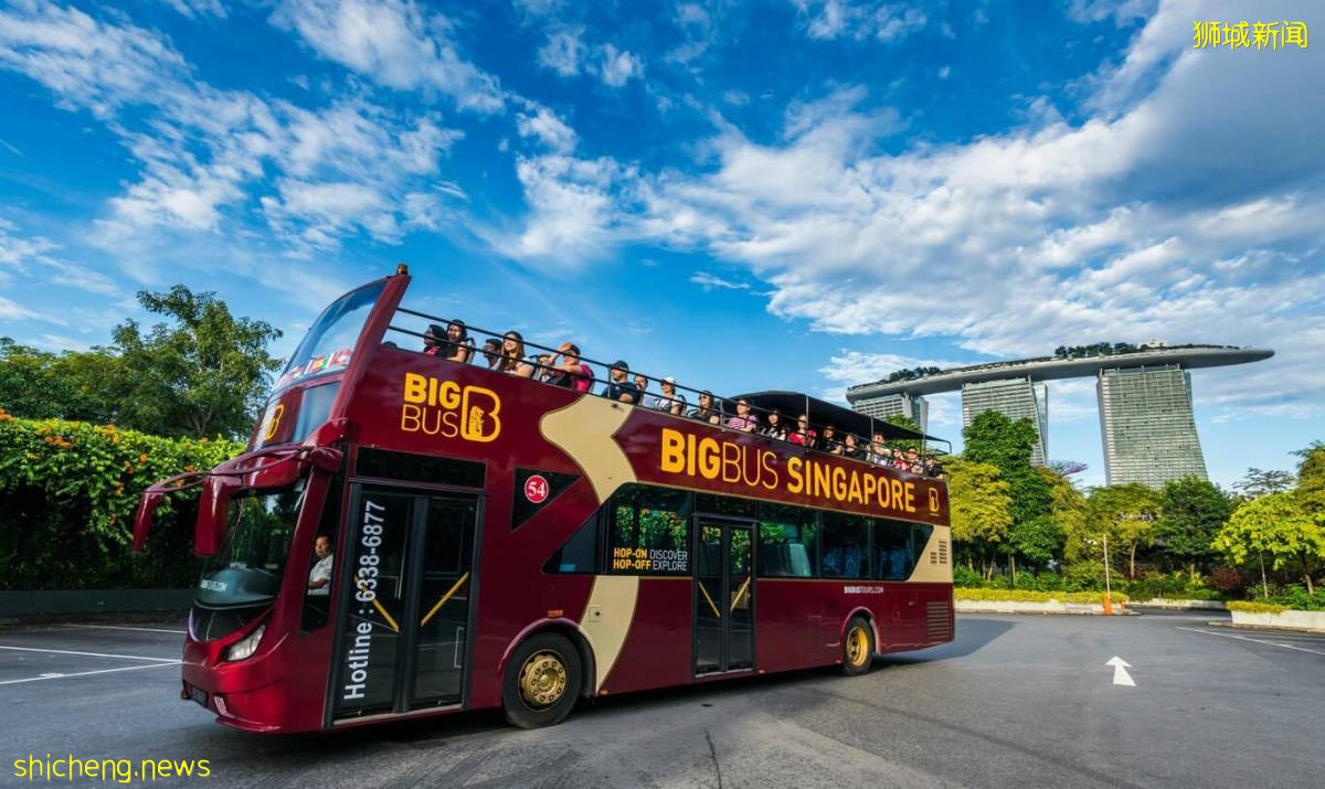 新加坡旅游交通推荐：大巴士新加坡观光之旅