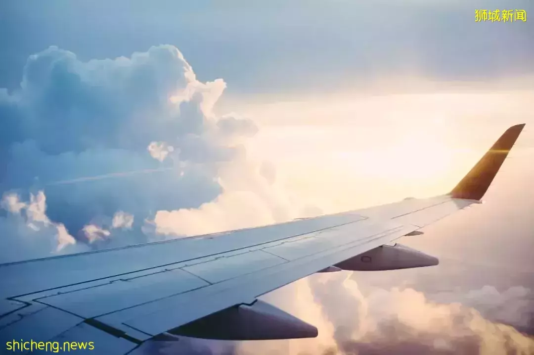 PR通過人數創新高!EP和SP人士這樣申請更容易獲批