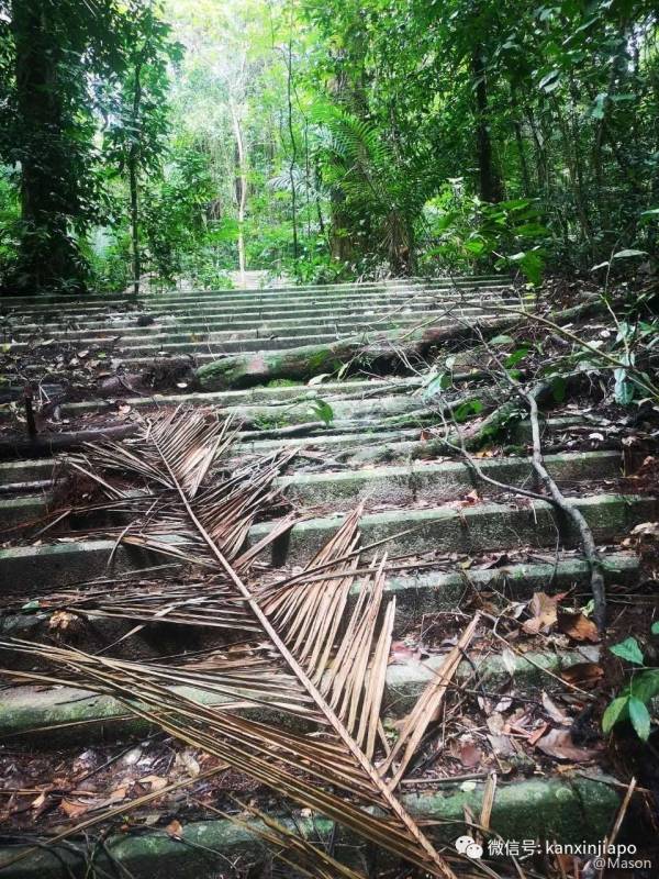 勇闯麦里芝被遗忘的神社,狂风暴雨下惊险求生