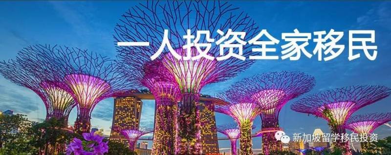 【移民资讯】解析新加坡常用的几种移民方案