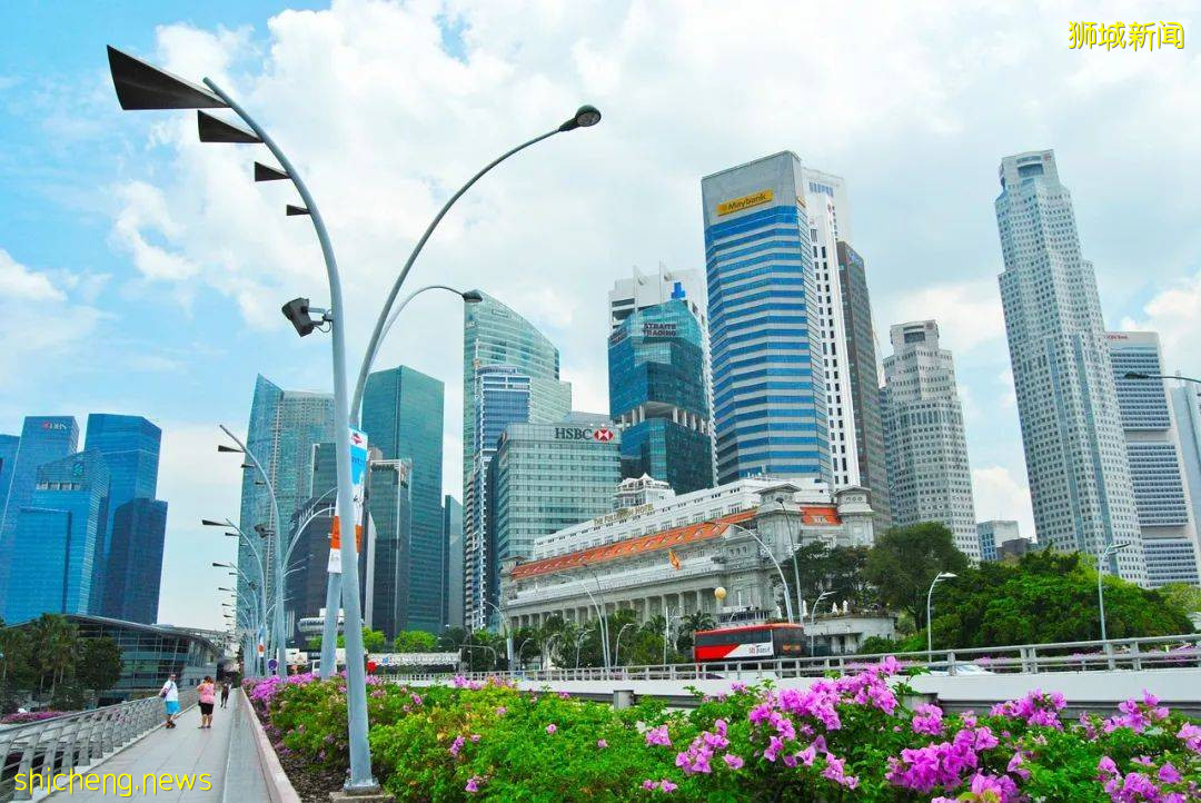 工業園“變身”創新農業園，這個10年戰略藏著新加坡的發展新機遇