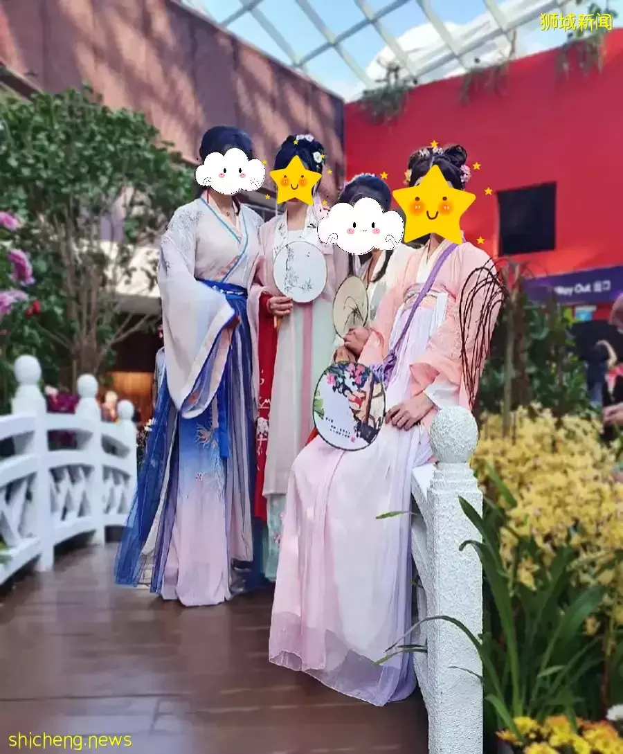 “我毕业于中国985名校,为什么在新加坡读个大专?”