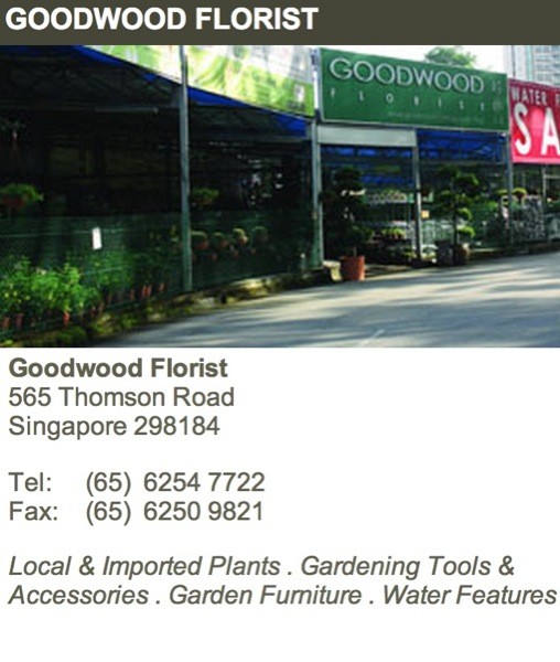 Screen Shot 2014-07-02 at 12.12.08 am