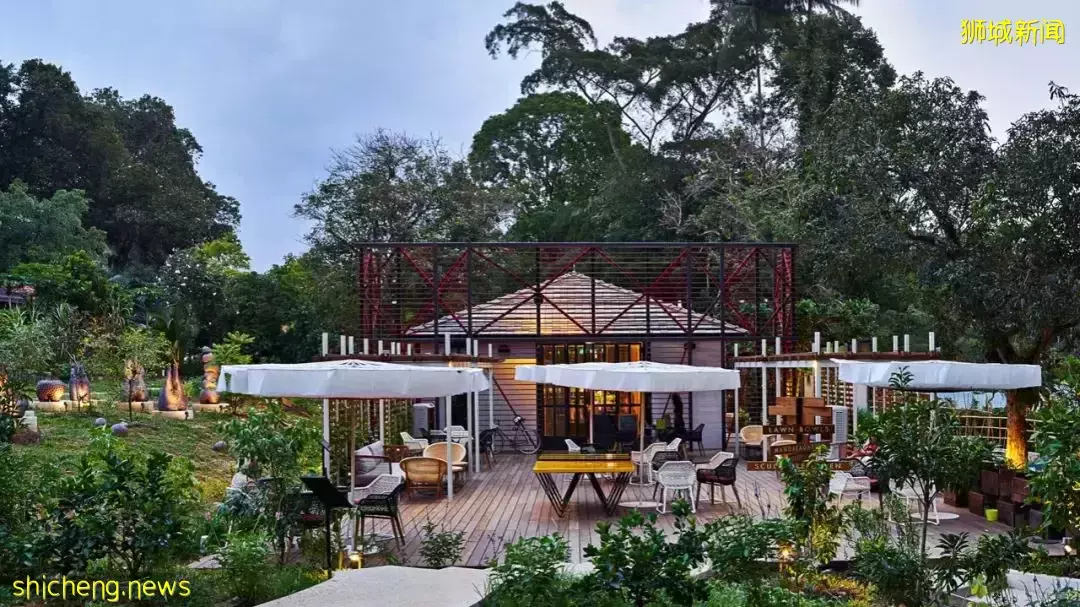 新加坡：开放城市农场 从农场直达餐桌