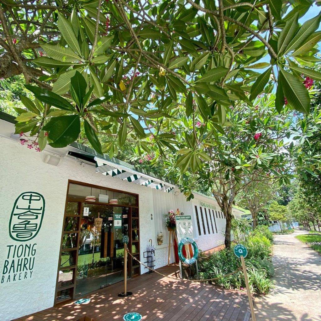 網美們出動😎Tiong Bahru Bakery Foothills第七家分店📍夏日泳池風、全店高顔值💕