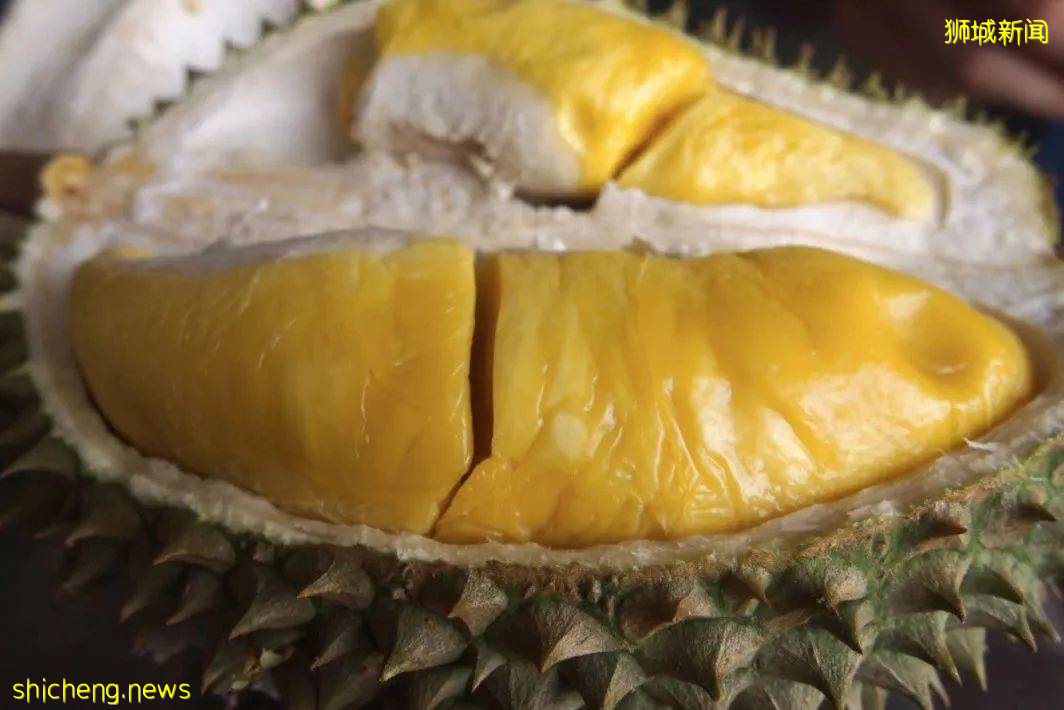 又到榴梿飘香时,不想再听摊贩那一套?新加坡食品局教你吃榴梿八大贴士