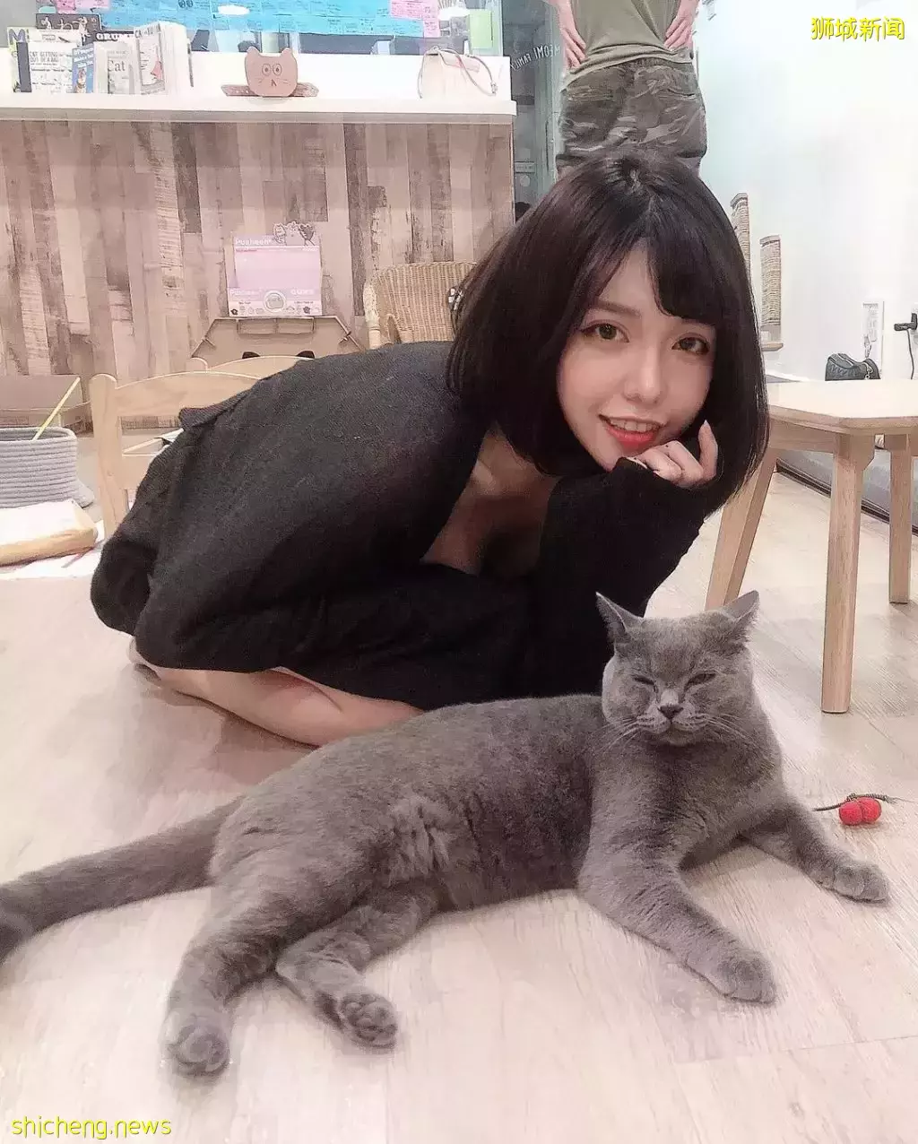 吃喝撸狗兩不誤!新加坡15家寵物友好咖啡廳 · 快上小可愛一起去體驗吧