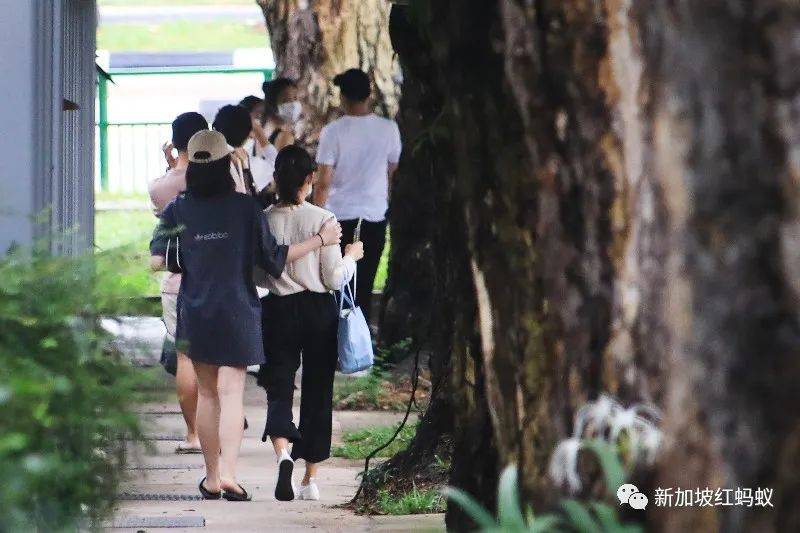 “新航出品，必屬佳品”？　新加坡企業搶聘遭裁新航員工