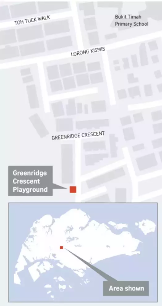 總理夫人關注!新加坡11歲雙胞胎男童陳屍水溝、死因不明