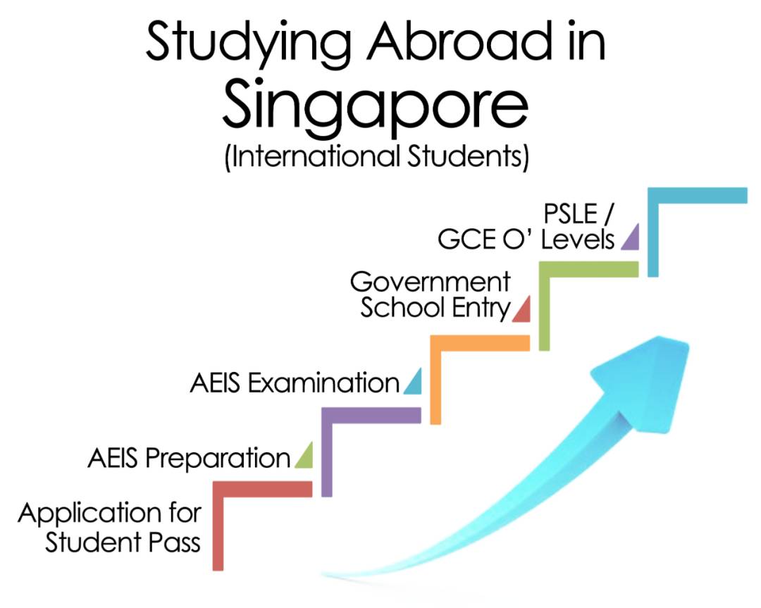 为何AEIS并不是中国学生获得新加坡优质教育资源的最好途径