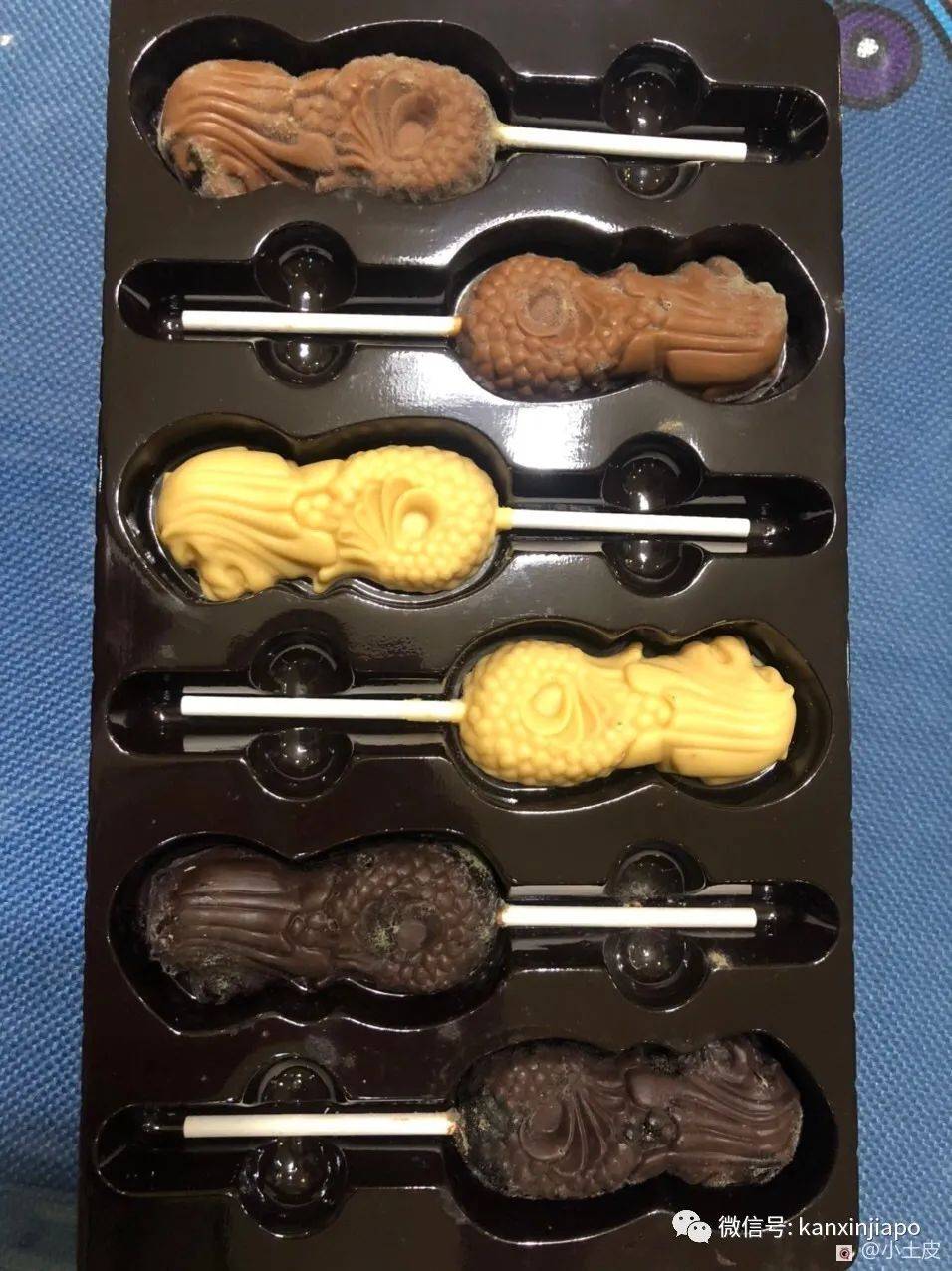 在裕华国货买了一盒鱼尾狮巧克力,回到家打开一看发霉了