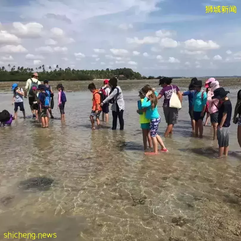 看起來每天都在玩，新加坡國際學校的娃們是怎麽學習的