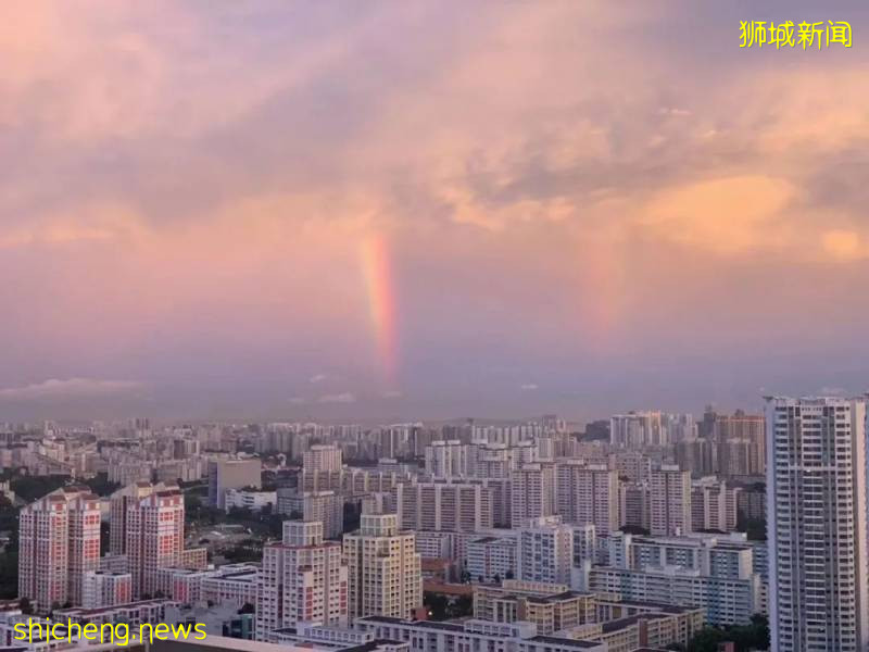 刷屏!新加坡昨天出现绝美彩虹,副总理也忍不住转发!