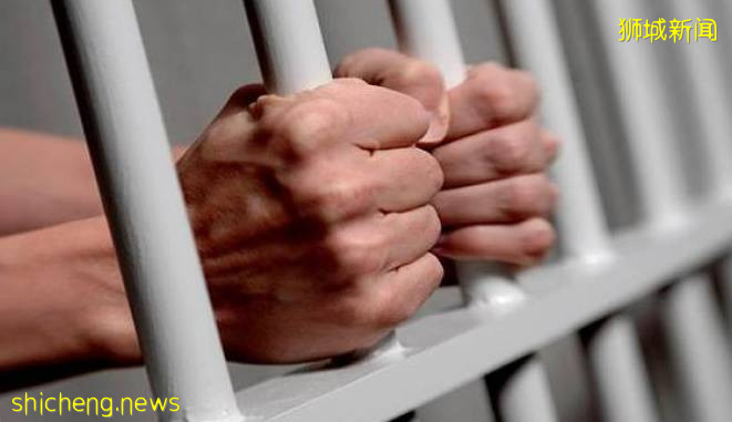 人力部長:新加坡這個高薪行業,抓到11個學曆造假的外國人