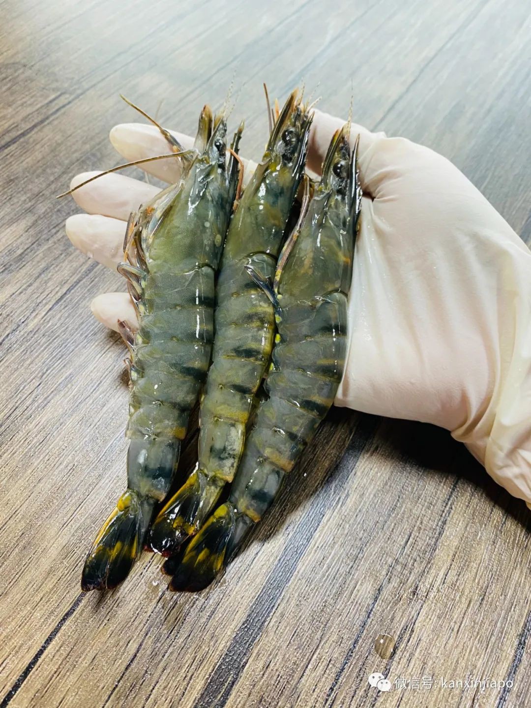 1新币1个的饺子,还能卖断货,凭什么?