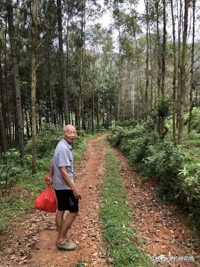 南安乐峰的新加坡国宝潘受,他的父亲竟是位“医神”