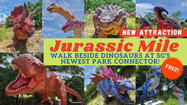 觀鳥、陡坡、嬉水、看夕陽,13條新加坡最美親子騎行路線