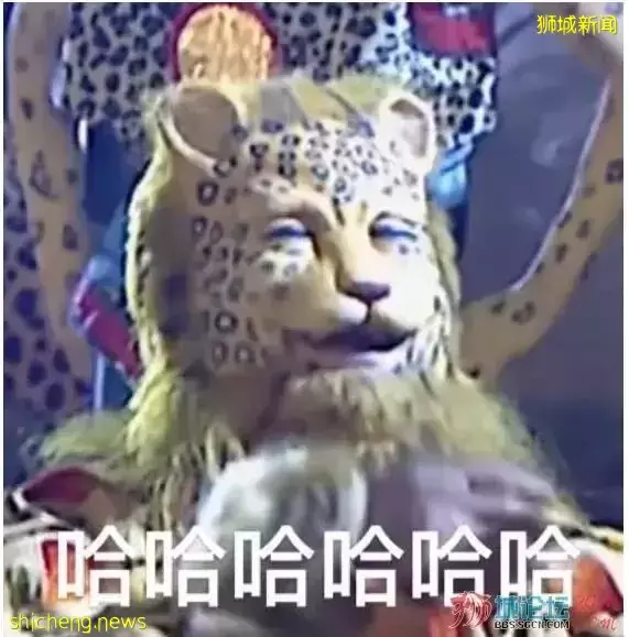 新加坡“呼吸機”司機走紅，網友調侃：宣傳公益想不紅都難