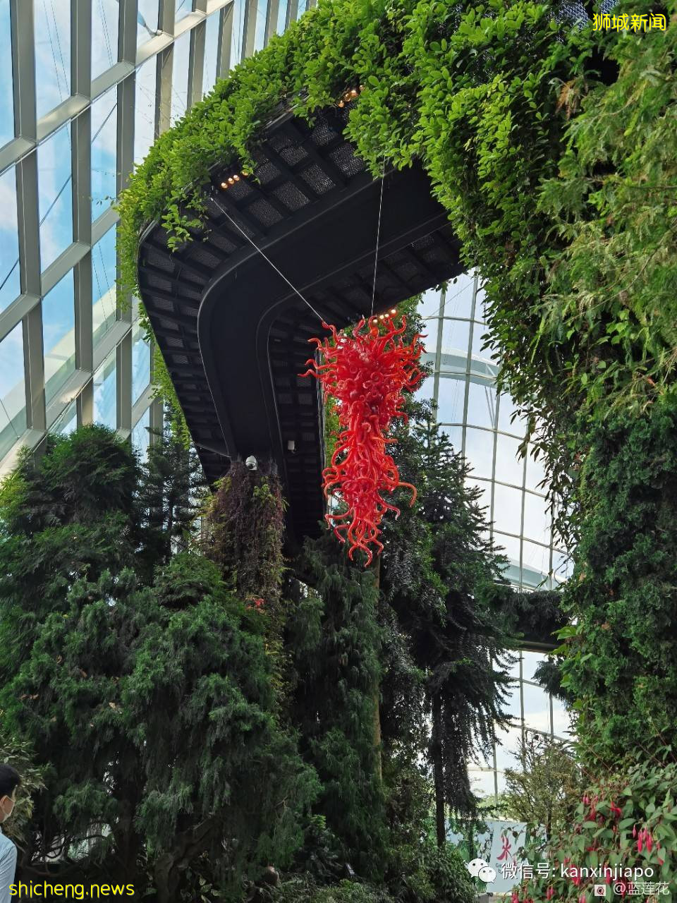 穿越魔幻国度！巨型玻璃艺术品出现在滨海湾