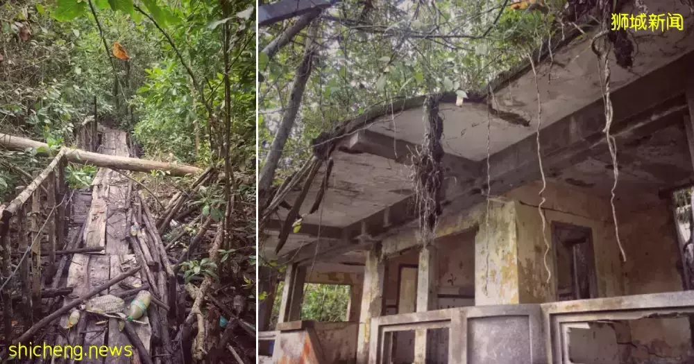 在新加坡的東北部,有個隱秘的小島!不用坐船,每天限時開放