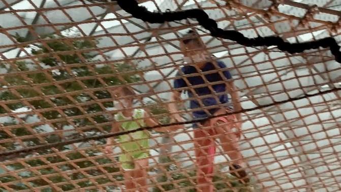 橫跨全島,我娃也要到這裏來玩,這個新加坡最佳遛娃地到底有什麽魅力