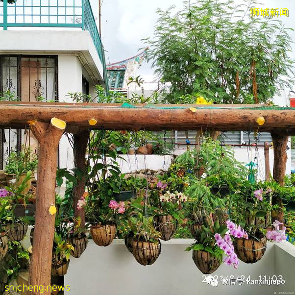 实战攻略！新加坡南部三大著名岛屿这样玩