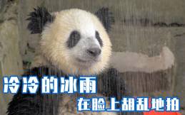 一夜入冬!新加坡30年來最潮一月!大雨還要持續多久