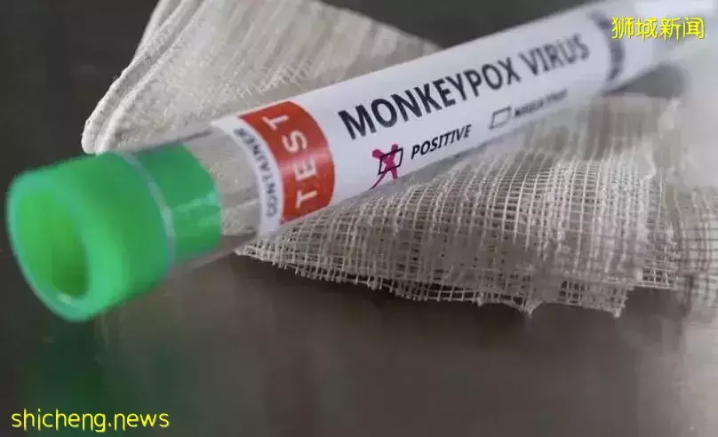 專家曝新加坡將出現猴痘感染群!首起病例曾去馬來西亞