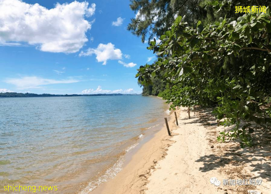 新加坡其实有两个虎豹别墅,其中一个就建在这个未开发的小岛上