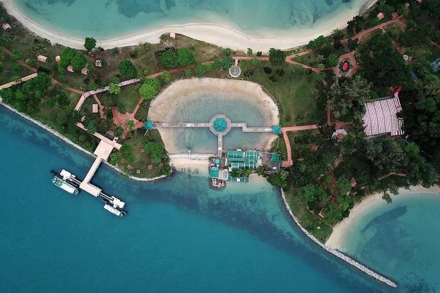 新加坡80%人還沒用旅遊消費券，6月30日到期！推薦這20個活動