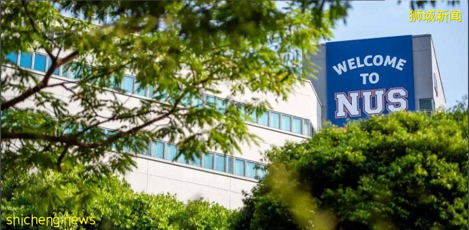 求求你,不要再说自己了解新加坡留学了