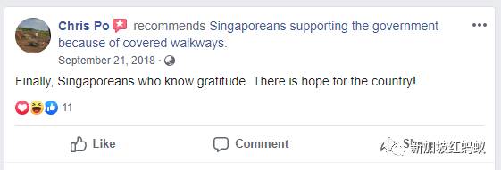 狮城最贴心的一道风景:无处不在的有盖走廊