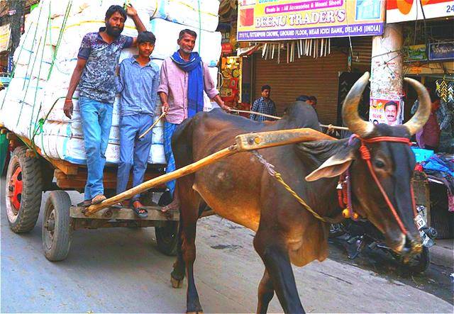 美国人评价新加坡道路干净，印度脏乱差，评价中国就两个字