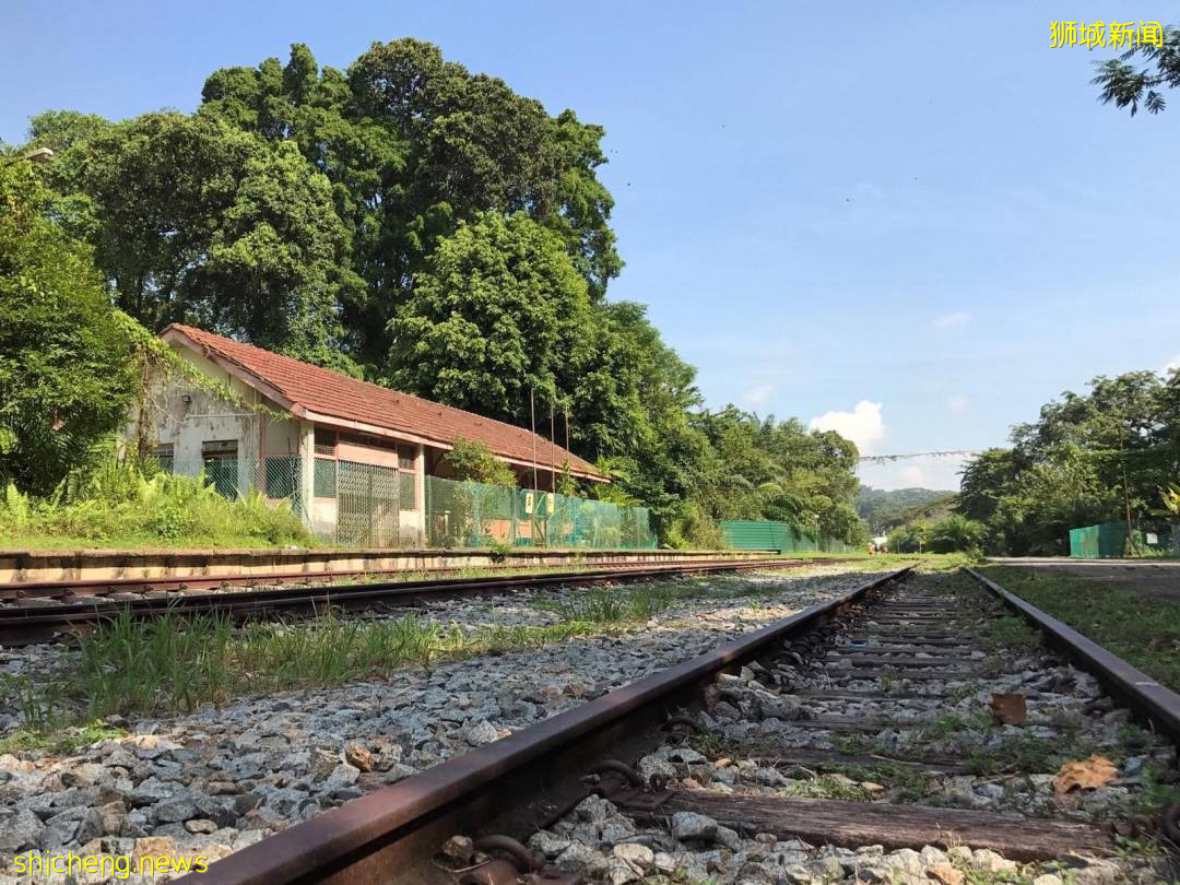 揭秘新加坡最新最热网红打卡地