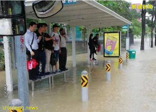 新加坡国家冷知识26个,吃口香糖不违法,想买需要医生开处方