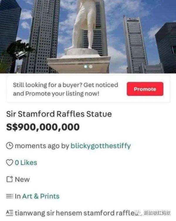 新加坡賣家在網購平台惡搞，以天價出售“星耀樟宜”等景點，被強制下架