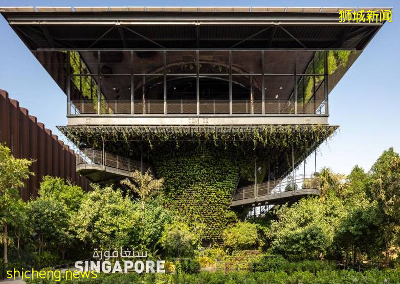 時隔十一年！新加坡重返世博會舞台，旨在展示可宜居城市面貌