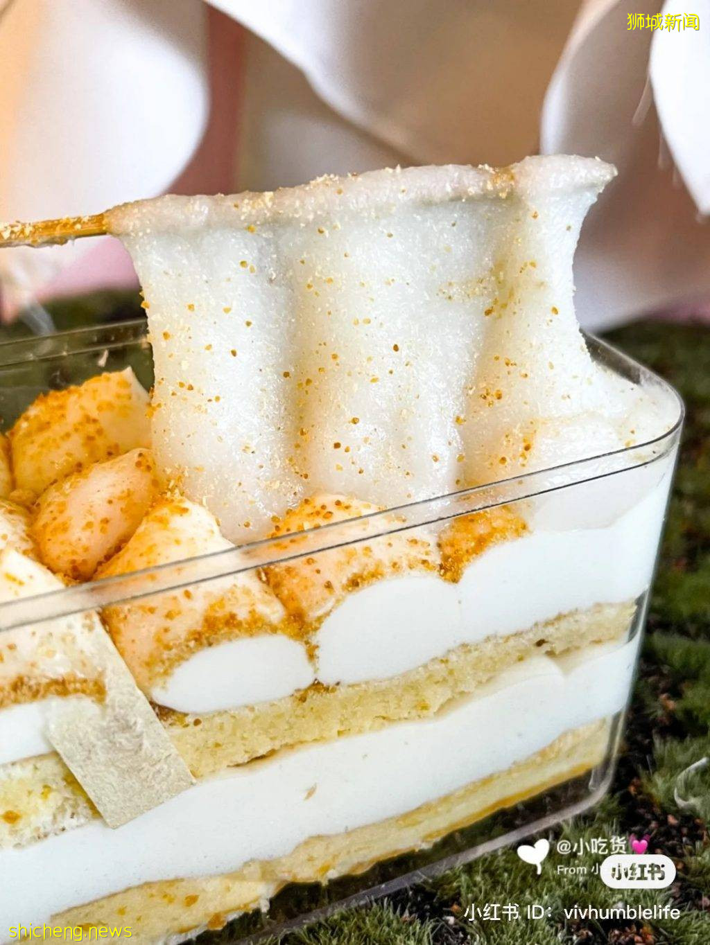 中国网红甜点一网打尽!Nestcha带着肉松小贝、豆乳盒子、芋泥麻薯来啦🤤