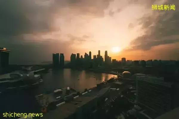 又是中国新移民！“东南亚小腾讯”创始人为什么也选择新加坡