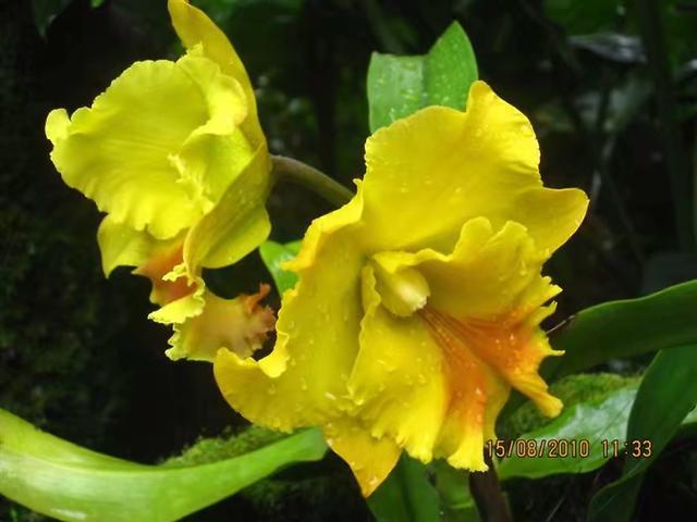 出境自由行第一站去哪儿比较好?—八大理由让你爱上新加坡