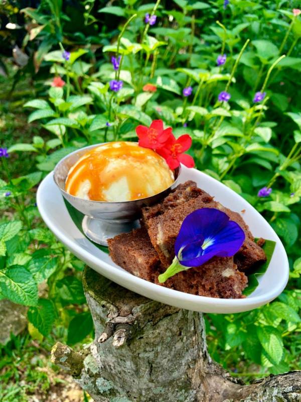 新加坡新大陸！Bollywood Veggies有機農場👩🏻‍🌾 市區外的田園風光 + 治愈寶地