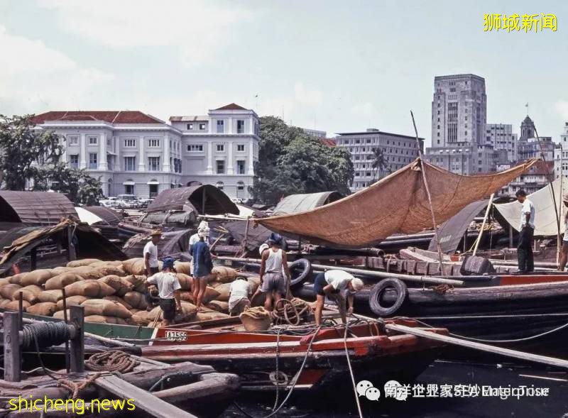 上世紀50-60年代,南洋島國新加坡,迎來經濟繁榮的第一次來臨時!